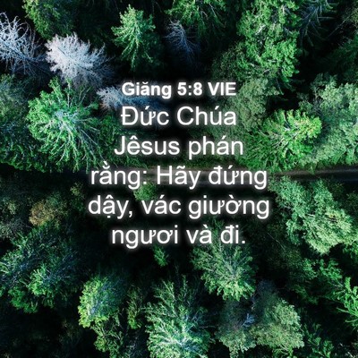 Picture 04 - Giăng 5:8 VIE - Đức Chúa Jêsus phán rằng: Hãy đứng - Bible Verse Picture