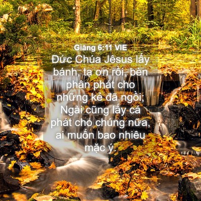 Picture 04 - Giăng 6:11 VIE - Đức Chúa Jêsus lấy bánh, tạ ơn rồi, - Bible Verse Picture