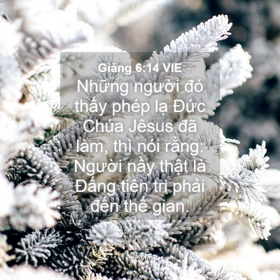 Picture 04 - Giăng 6:14 VIE - Những người đó thấy phép lạ Đức - Bible Verse Picture