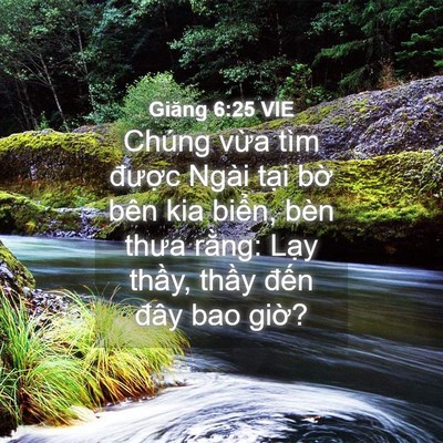 Picture 04 - Giăng 6:25 VIE - Chúng vừa tìm được Ngài tại bờ bên - Bible Verse Picture