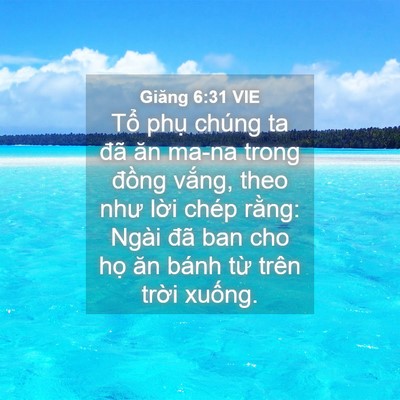 Picture 04 - Giăng 6:31 VIE - Tổ phụ chúng ta đã ăn ma-na trong đồng - Bible Verse Picture