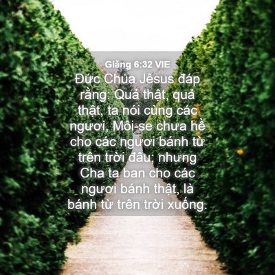 Picture 04 - Giăng 6:32 VIE - Đức Chúa Jêsus đáp rằng: Quả thật, - Bible Verse Picture