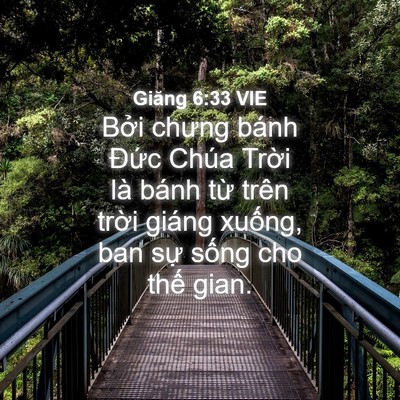 Picture 04 - Giăng 6:33 VIE - Bởi chưng bánh Đức Chúa Trời là bánh - Bible Verse Picture