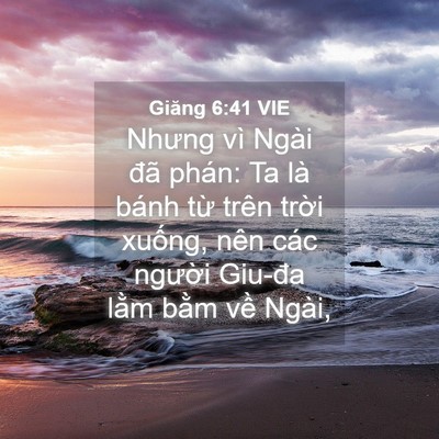 Picture 04 - Giăng 6:41 VIE - Nhưng vì Ngài đã phán: Ta là bánh từ - Bible Verse Picture