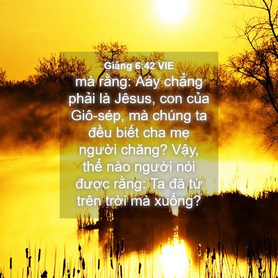Picture 04 - Giăng 6:42 VIE - mà rằng: Aáy chẳng phải là Jêsus, con - Bible Verse Picture