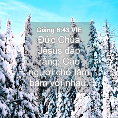 Picture 04 - Giăng 6:43 VIE - Đức Chúa Jêsus đáp rằng: Các ngươi - Bible Verse Picture