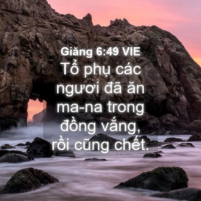 Picture 04 - Giăng 6:49 VIE - Tổ phụ các ngươi đã ăn ma-na trong - Bible Verse Picture