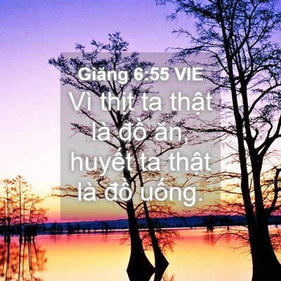Picture 04 - Giăng 6:55 VIE - Vì thịt ta thật là đồ ăn, huyết ta - Bible Verse Picture
