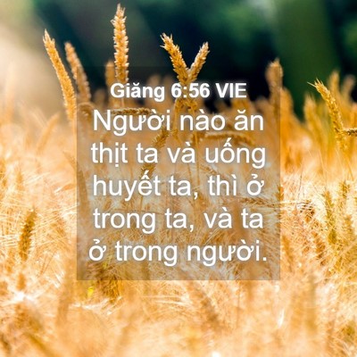 Picture 04 - Giăng 6:56 VIE - Người nào ăn thịt ta và uống huyết - Bible Verse Picture