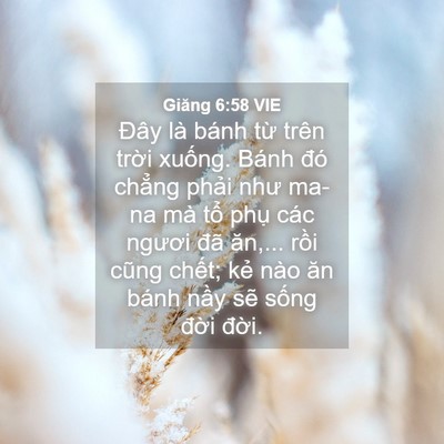 Picture 04 - Giăng 6:58 VIE - Đây là bánh từ trên trời xuống. Bánh - Bible Verse Picture