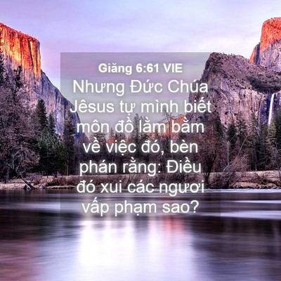 Picture 04 - Giăng 6:61 VIE - Nhưng Đức Chúa Jêsus tự mình biết môn - Bible Verse Picture