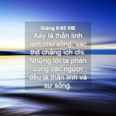 Picture 04 - Giăng 6:63 VIE - Aáy là thần linh làm cho sống, xác thịt - Bible Verse Picture
