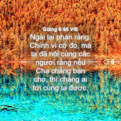 Picture 04 - Giăng 6:65 VIE - Ngài lại phán rằng: Chính vì cớ đó, - Bible Verse Picture