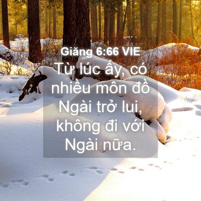 Picture 04 - Giăng 6:66 VIE - Từ lúc ấy, có nhiều môn đồ Ngài - Bible Verse Picture