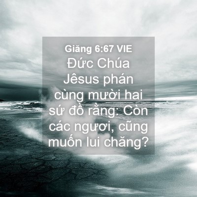 Picture 04 - Giăng 6:67 VIE - Đức Chúa Jêsus phán cùng mười hai sứ - Bible Verse Picture