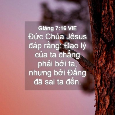 Picture 04 - Giăng 7:16 VIE - Đức Chúa Jêsus đáp rằng: Đạo lý - Bible Verse Picture