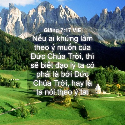 Picture 04 - Giăng 7:17 VIE - Nếu ai khứng làm theo ý muốn của Đức - Bible Verse Picture