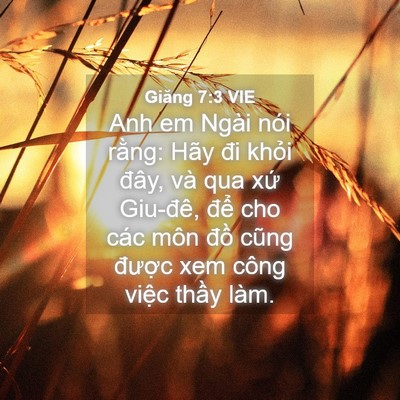 Picture 04 - Giăng 7:3 VIE - Anh em Ngài nói rằng: Hãy đi khỏi đây, - Bible Verse Picture