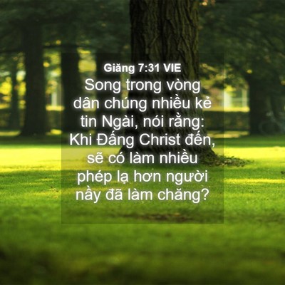 Picture 04 - Giăng 7:31 VIE - Song trong vòng dân chúng nhiều kẻ tin - Bible Verse Picture