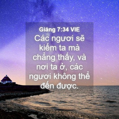 Picture 04 - Giăng 7:34 VIE - Các ngươi sẽ kiếm ta mà chẳng thấy, - Bible Verse Picture