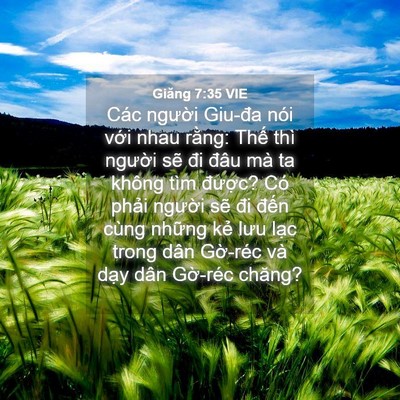 Picture 04 - Giăng 7:35 VIE - Các người Giu-đa nói với nhau rằng: - Bible Verse Picture