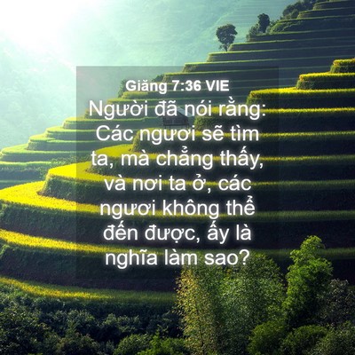 Picture 04 - Giăng 7:36 VIE - Người đã nói rằng: Các ngươi sẽ tìm - Bible Verse Picture