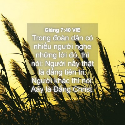 Picture 04 - Giăng 7:40 VIE - Trong đoàn dân có nhiều người nghe - Bible Verse Picture