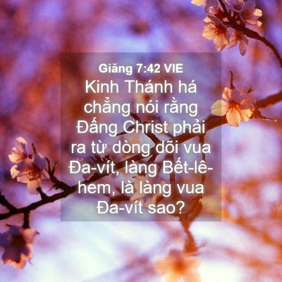 Picture 04 - Giăng 7:42 VIE - Kinh Thánh há chẳng nói rằng Đấng - Bible Verse Picture