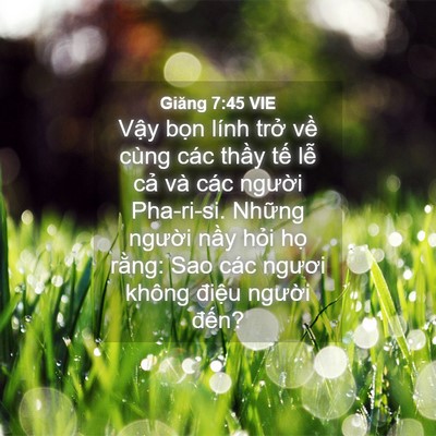 Picture 04 - Giăng 7:45 VIE - Vậy bọn lính trở về cùng các thầy - Bible Verse Picture