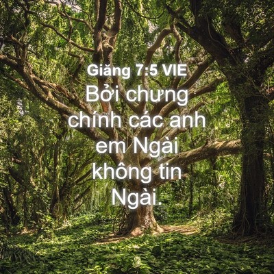 Picture 04 - Giăng 7:5 VIE - Bởi chưng chính các anh em Ngài không tin - Bible Verse Picture