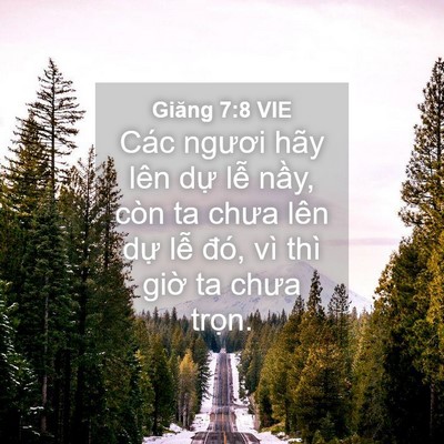 Picture 04 - Giăng 7:8 VIE - Các ngươi hãy lên dự lễ nầy, còn ta - Bible Verse Picture