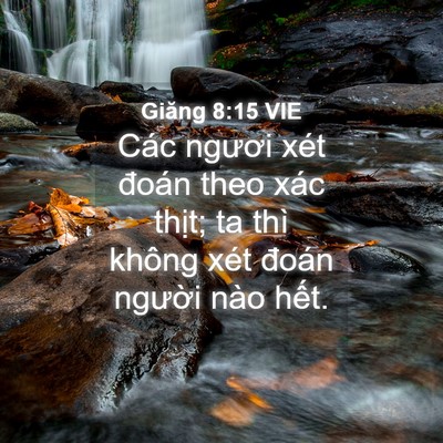 Picture 04 - Giăng 8:15 VIE - Các ngươi xét đoán theo xác thịt; ta - Bible Verse Picture