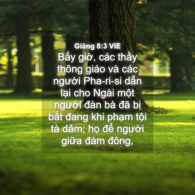 Picture 04 - Giăng 8:3 VIE - Bấy giờ, các thầy thông giáo và các - Bible Verse Picture