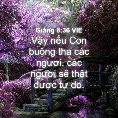 Picture 04 - Giăng 8:36 VIE - Vậy nếu Con buông tha các ngươi, các - Bible Verse Picture