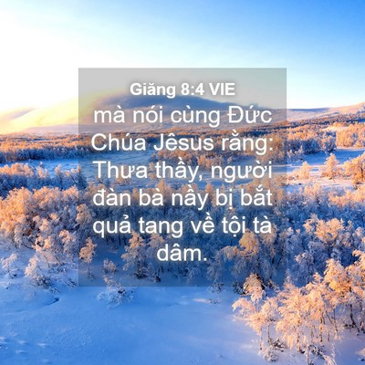 Picture 04 - Giăng 8:4 VIE - mà nói cùng Đức Chúa Jêsus rằng: Thưa - Bible Verse Picture