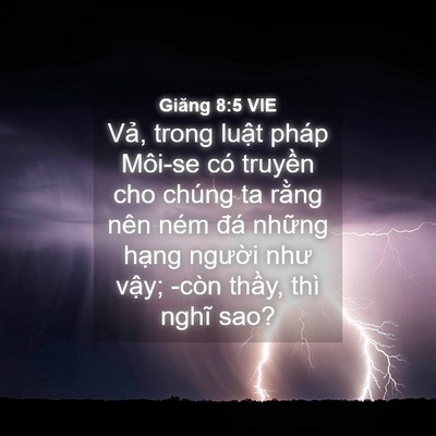 Picture 04 - Giăng 8:5 VIE - Vả, trong luật pháp Môi-se có truyền cho - Bible Verse Picture