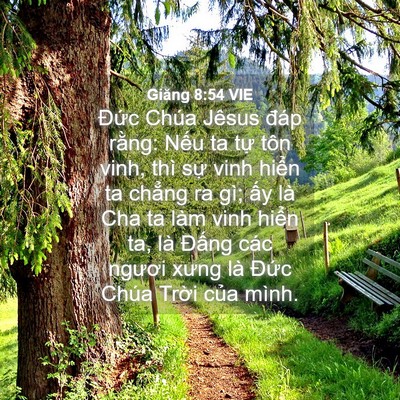 Picture 04 - Giăng 8:54 VIE - Đức Chúa Jêsus đáp rằng: Nếu ta tự - Bible Verse Picture