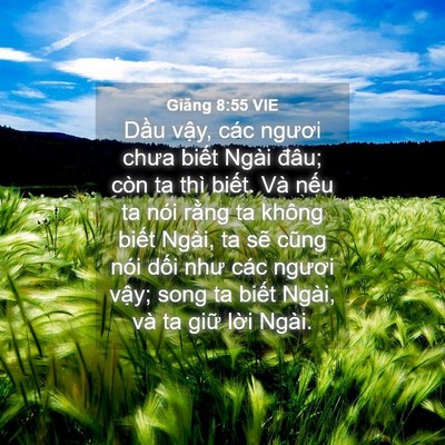 Picture 04 - Giăng 8:55 VIE - Dầu vậy, các ngươi chưa biết Ngài - Bible Verse Picture