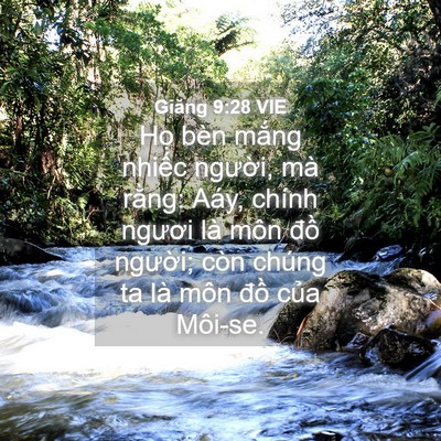Picture 04 - Giăng 9:28 VIE - Họ bèn mắng nhiếc người, mà rằng: - Bible Verse Picture