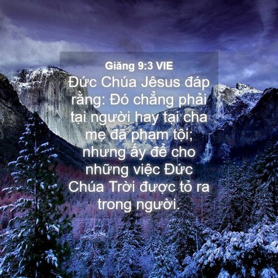 Picture 04 - Giăng 9:3 VIE - Đức Chúa Jêsus đáp rằng: Đó chẳng - Bible Verse Picture