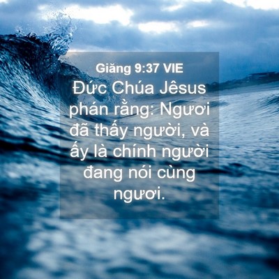Picture 04 - Giăng 9:37 VIE - Đức Chúa Jêsus phán rằng: Ngươi đã - Bible Verse Picture