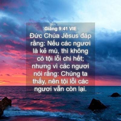 Picture 04 - Giăng 9:41 VIE - Đức Chúa Jêsus đáp rằng: Nếu các - Bible Verse Picture
