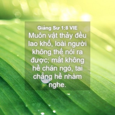 Picture 04 - Giảng Sư 1:8 VIE - Muôn vật thảy đều lao khổ, loài - Bible Verse Picture