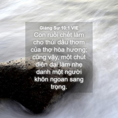 Picture 04 - Giảng Sư 10:1 VIE - Con ruồi chết làm cho thúi dầu thơm - Bible Verse Picture