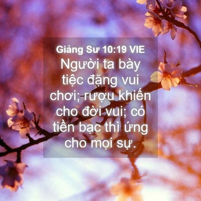 Picture 04 - Giảng Sư 10:19 VIE - Người ta bày tiệc đặng vui chơi; - Bible Verse Picture