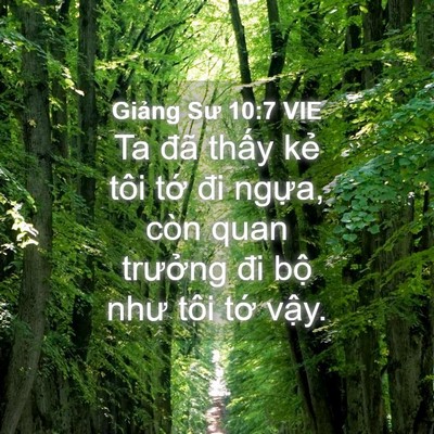 Picture 04 - Giảng Sư 10:7 VIE - Ta đã thấy kẻ tôi tớ đi ngựa, còn - Bible Verse Picture