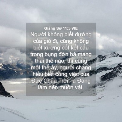 Picture 04 - Giảng Sư 11:5 VIE - Người không biết đường của gió đi, - Bible Verse Picture