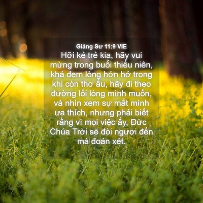 Picture 04 - Giảng Sư 11:9 VIE - Hỡi kẻ trẻ kia, hãy vui mừng trong - Bible Verse Picture