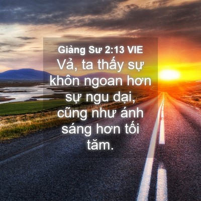 Picture 04 - Giảng Sư 2:13 VIE - Vả, ta thấy sự khôn ngoan hơn sự ngu - Bible Verse Picture