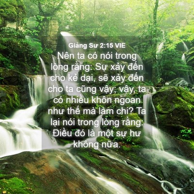 Picture 04 - Giảng Sư 2:15 VIE - Nên ta có nói trong lòng rằng: Sự xảy - Bible Verse Picture